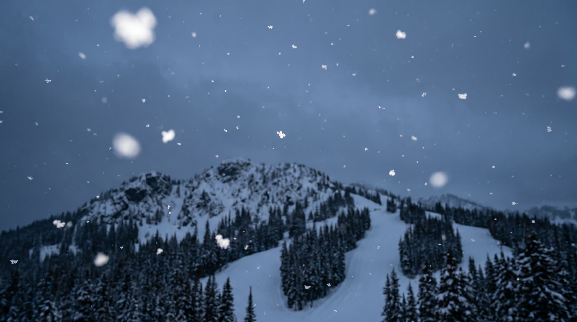 One fresh ski track carved in linked turns down a rugged, snow-covered mountain face while snow falls.